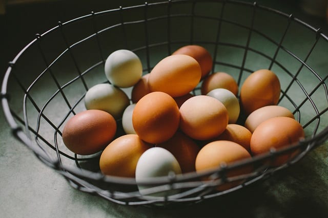 diversification eggs in a basket