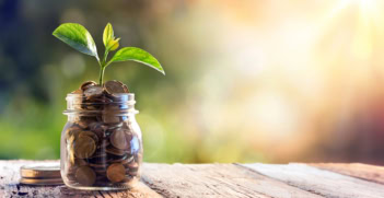 a jar of coins with a sprout sticking out of it.