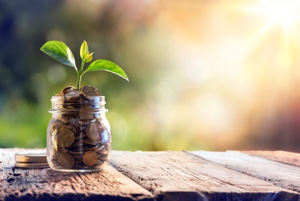 a jar of coins with a sprout sticking out of it.