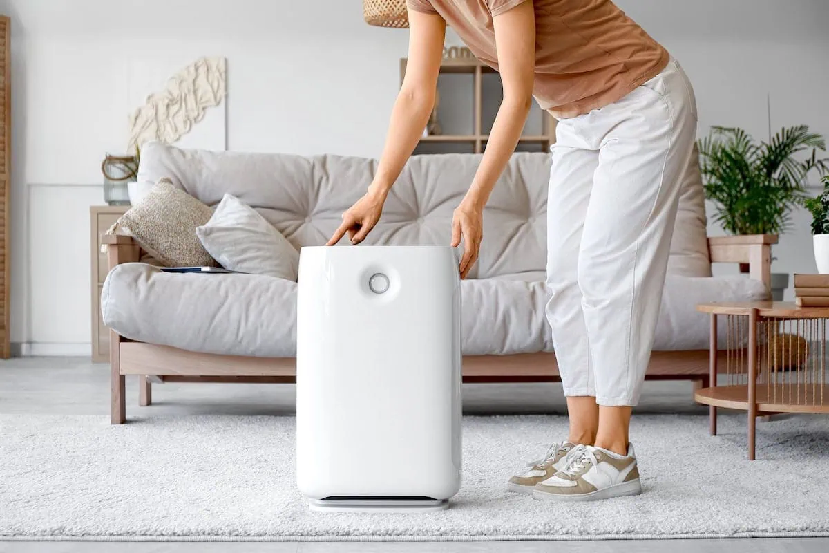 8 Ways to Lower Energy Costs in High Heat, Arctic Blasts 4 a living room humidifier.