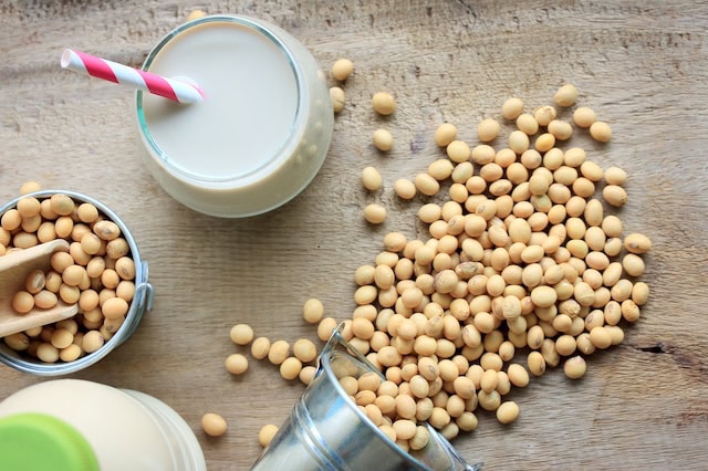The Best Dividend Stocks: 10 Pro-Grade Income Picks for 2025 9 best dividend stock bunge global soy beans milk