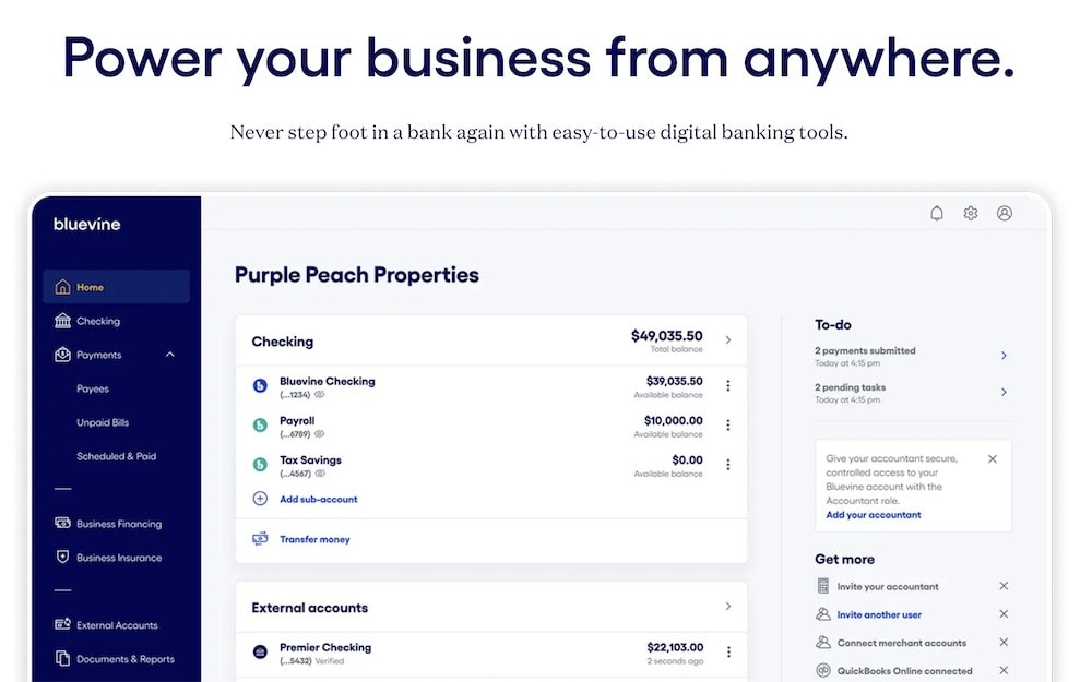 bluevine signup 1200
