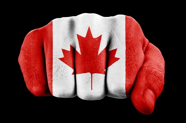 a fist painted in the colors of the canadian flag.