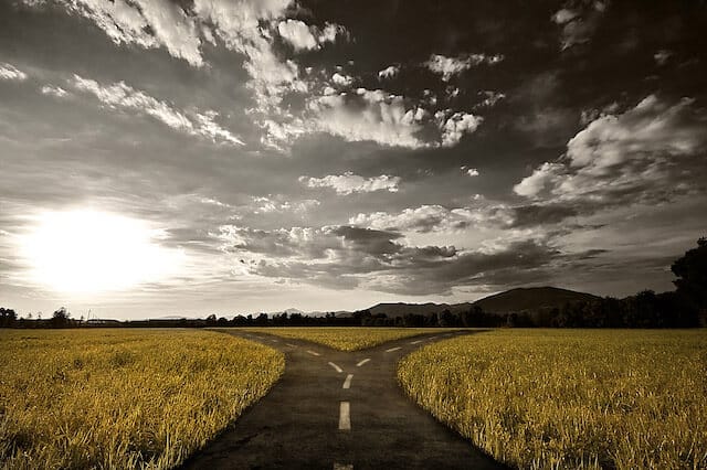 choice decision path alternative