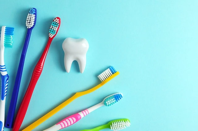 several toothbrushes and a large plastic tooth.