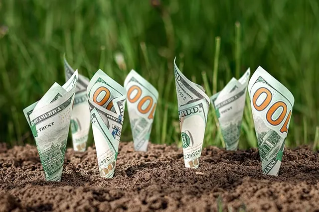 hundred dollar bills growing out of the ground.