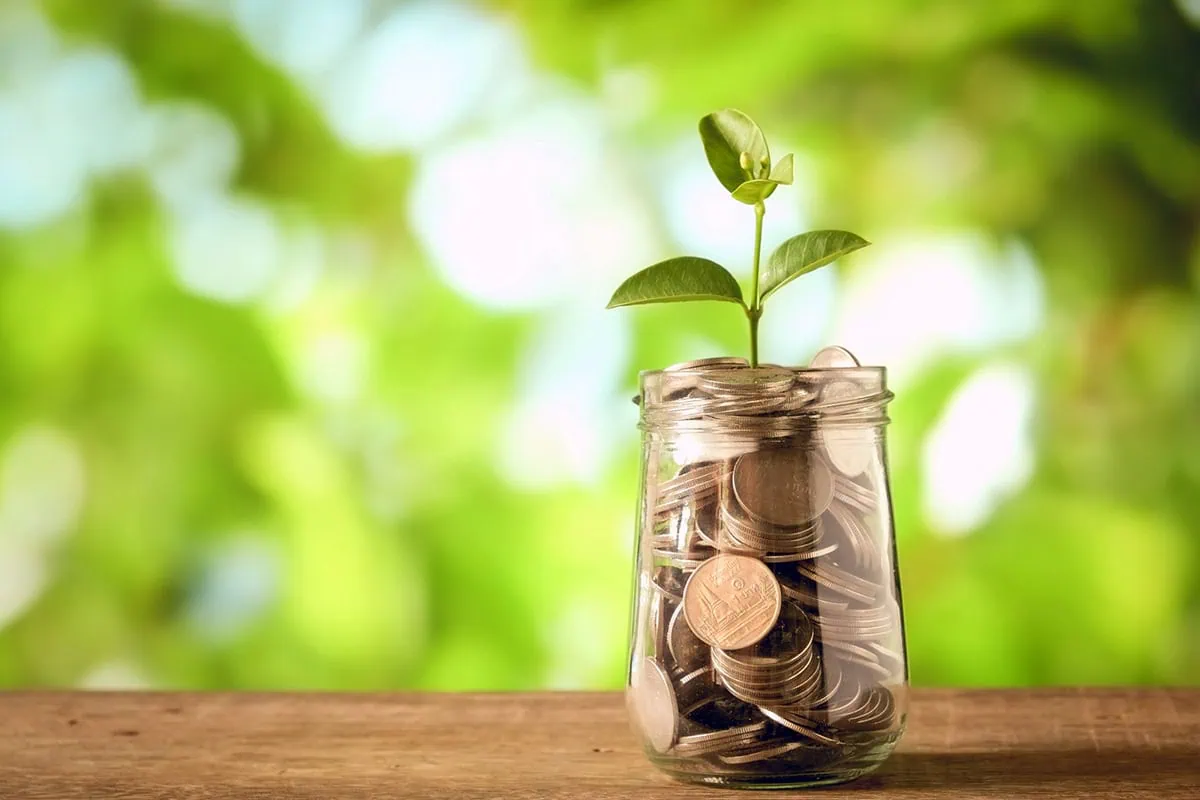 The 16 Best ETFs to Buy for a Prosperous 2026 12 a stem and leaves sprout out of a jar of pennies.