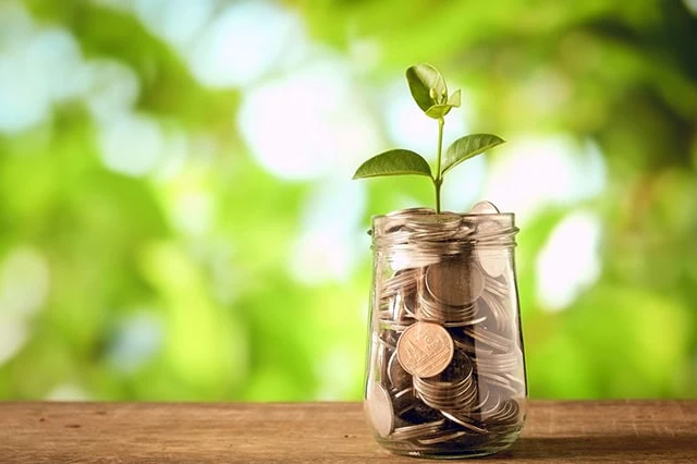 11 Best Vanguard Funds for the Everyday Investor 5 a stem and leaves sprout out of a jar of pennies.