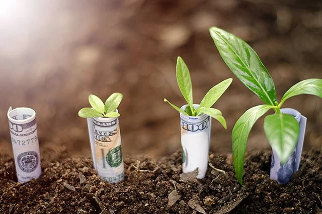The 10 Best-Rated Dividend Aristocrats Right Now 2 plants made out of dollar bills are in the ground at different stages of growth.