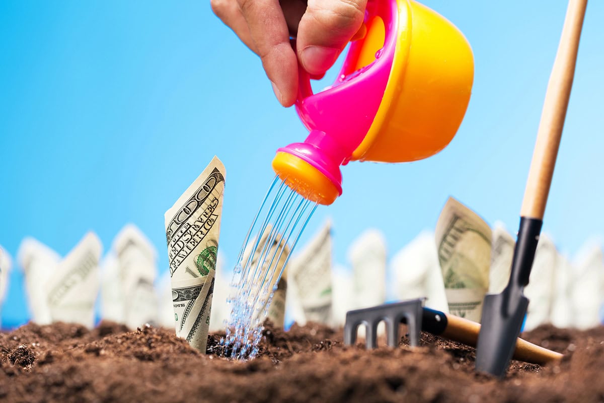a person watering a plot of growing hundred dollar bills.