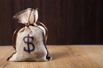 a burlap sack with a dollar sign printed on the front.