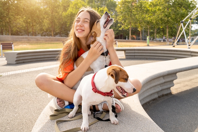 dog walker job teens