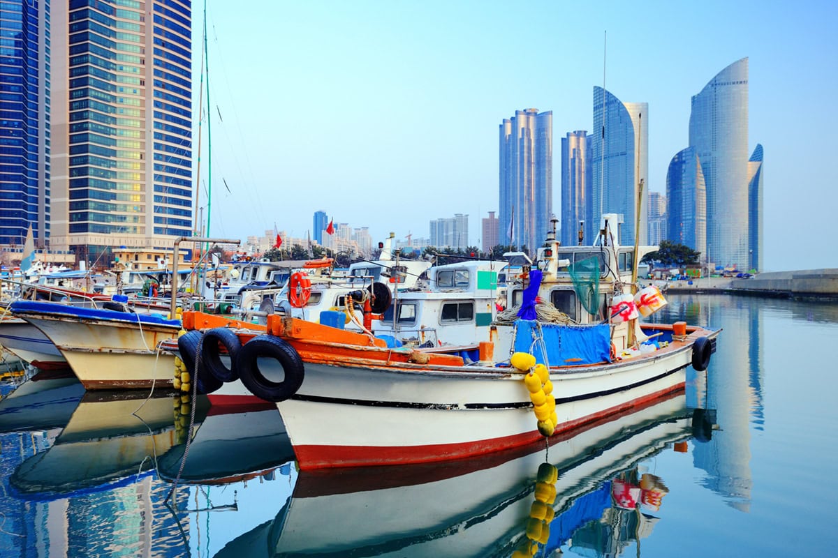 boats are shown in front of skyscrapers in busan south korea.