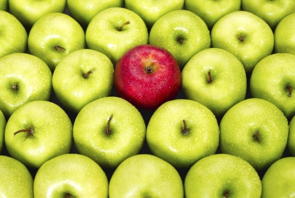 how to choose a financial advisor