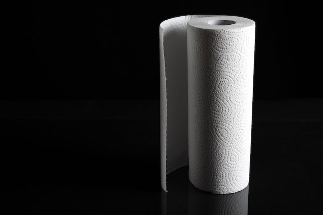 kirkland signature paper towels 640