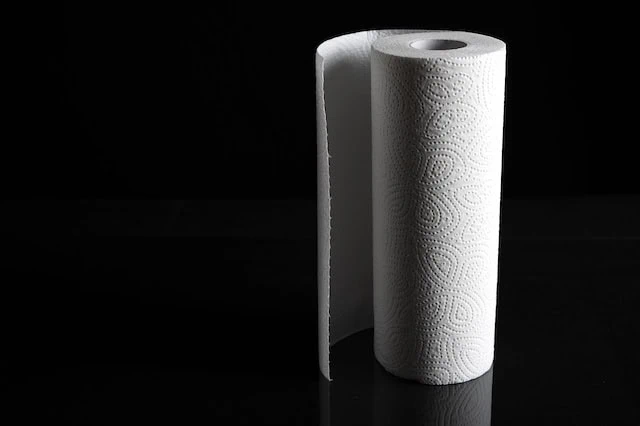 kirkland signature paper towels 640