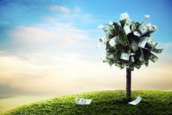 13 Best Long-Term Stocks to Buy and Hold Forever 12 an illustration of a tree made of dollars.