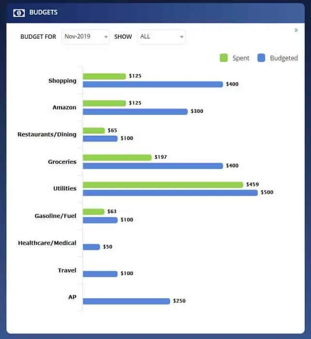 budget vs actual spend by category