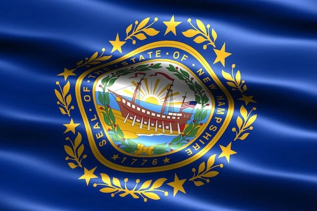 New Hampshire state flag 640