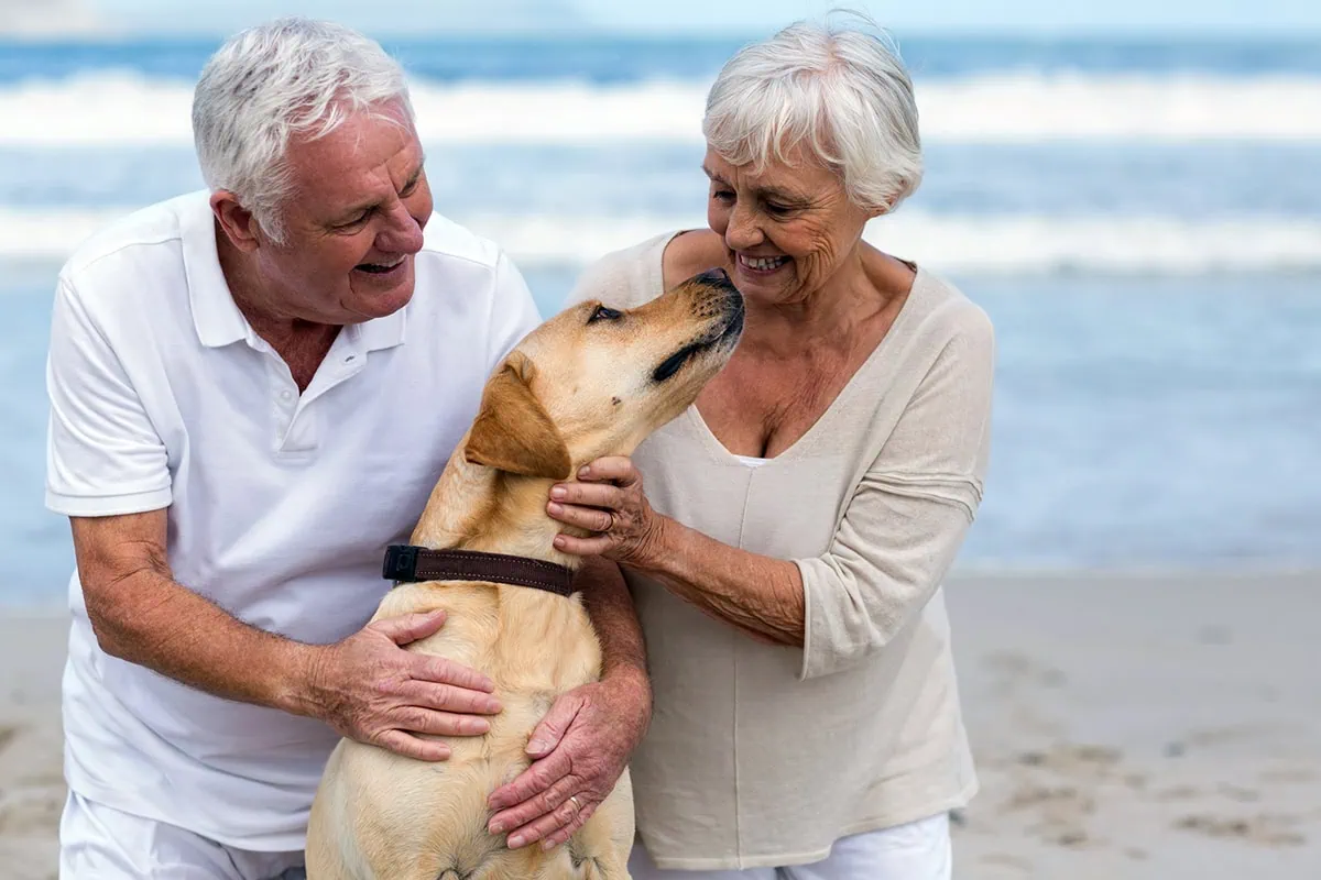 What Is FIRE? A Beginner's Guide to the Early Retirement Movement 14 a golden retriever plays with a senior man and wife at the beach.