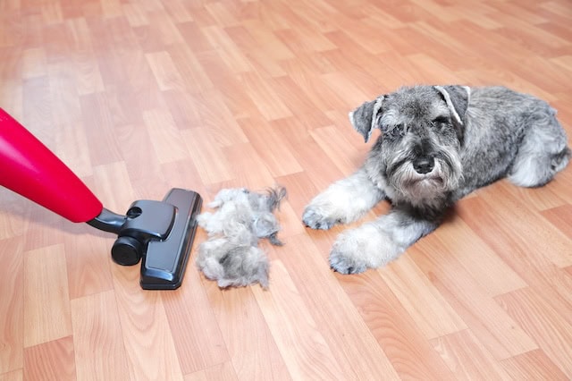 retirement pets hair vacuum