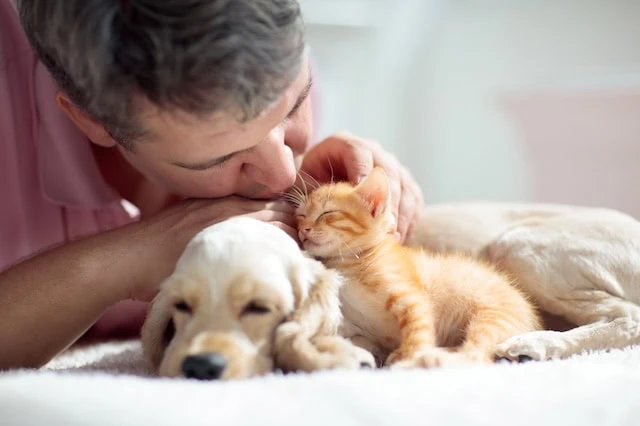 retirement pets reduce loneliness