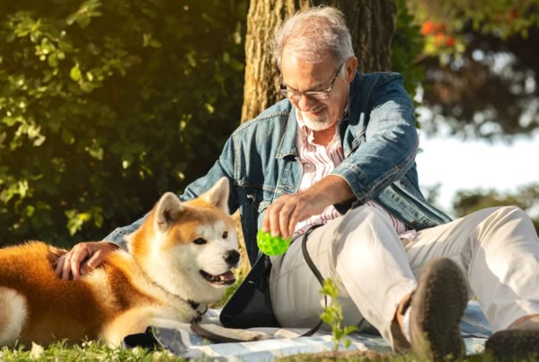 ten pros cons of pets during retirement