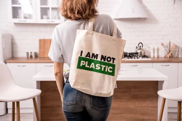 trader joes eco cloth bag