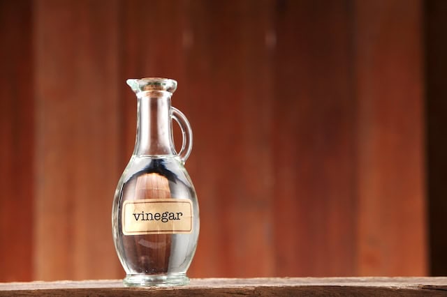white vinegar bottle sams club 640