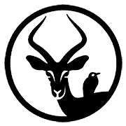 Yieldstreet | Passive Income w/Alternatives